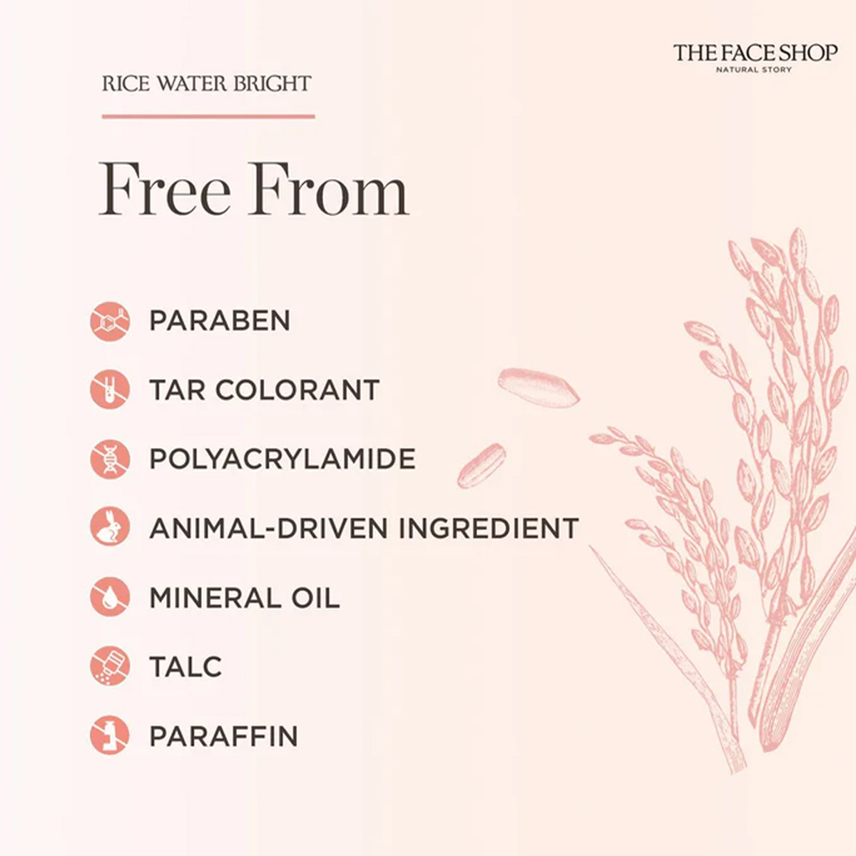ザ・フェイスショップ ライスウォーター ブライト フェイス  - Luxury Skincare Shop のレビューと価格